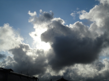 d0109373_20342624.jpg