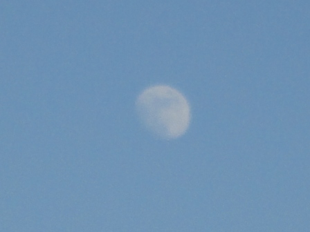 d0109373_20353690.jpg