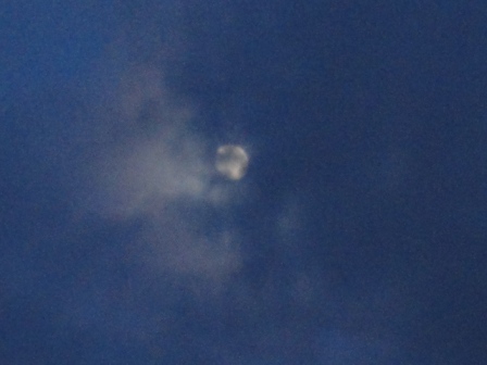 d0109373_20373646.jpg