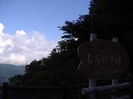 a0142083_22201112.jpg