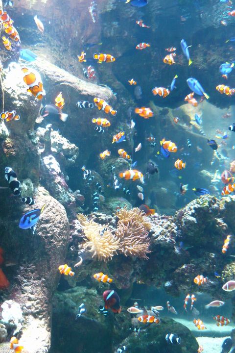 b0202185_1413110.jpg
