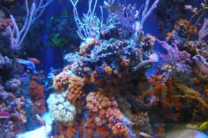b0202185_14132830.jpg