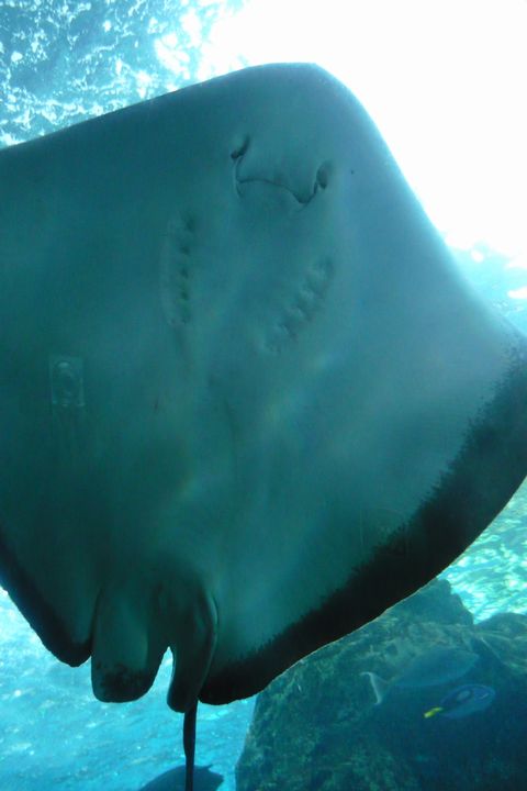 b0202185_14135081.jpg