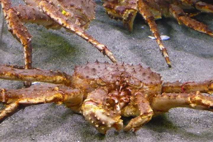 b0202185_14235615.jpg