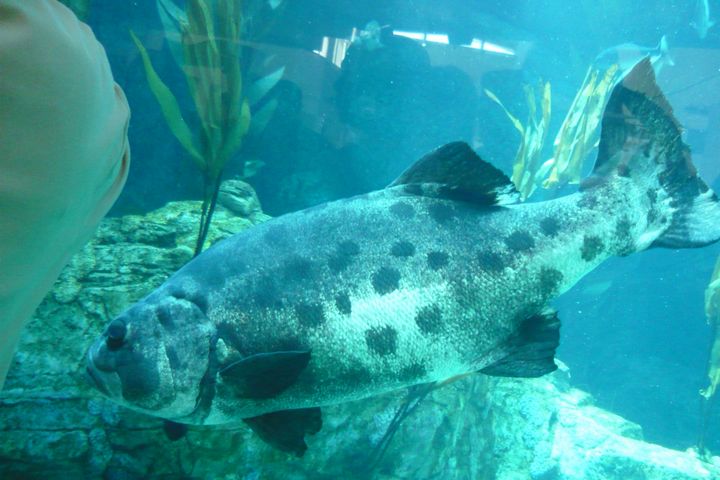 b0202185_1441641.jpg