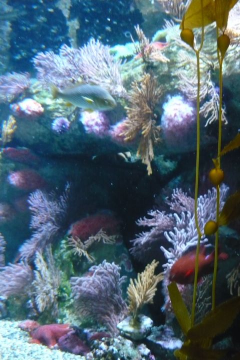 b0202185_1442963.jpg