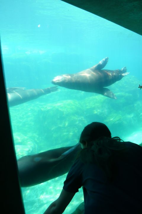 b0202185_1444594.jpg