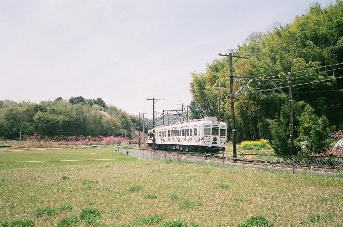 c0046587_21324444.jpg