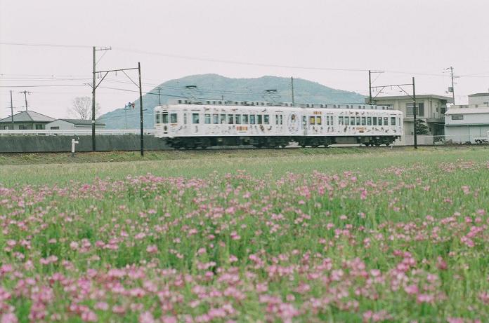 c0046587_21342980.jpg