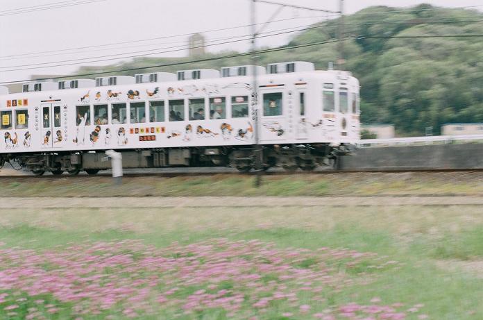 c0046587_2135969.jpg