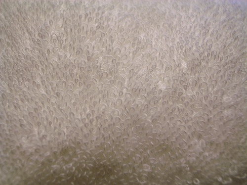 a0003089_2255058.jpg