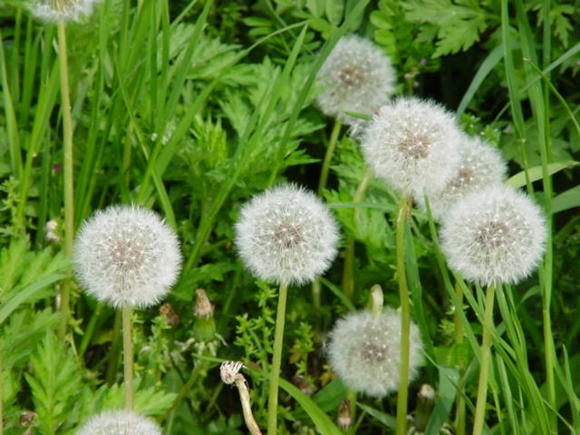 c0145889_1040367.jpg