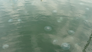 f0166694_2132863.jpg