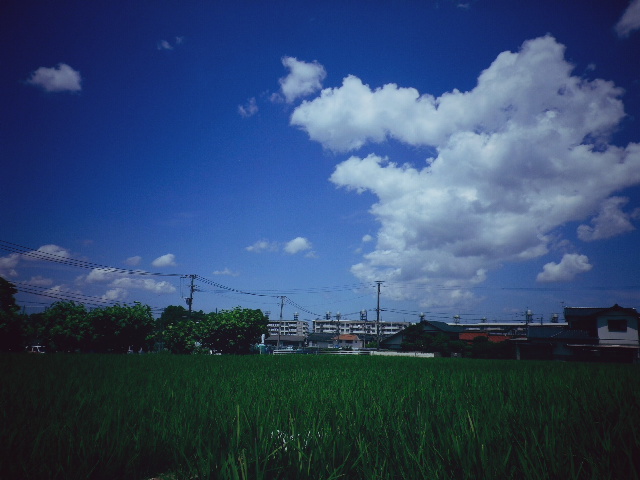 d0246595_21593181.jpg