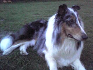f0081100_011481.jpg