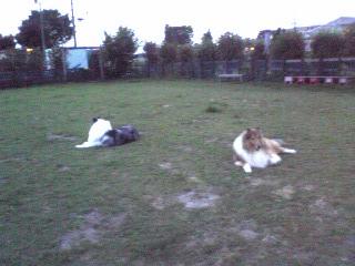 f0081100_095243.jpg