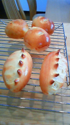 c0017505_22263351.jpg