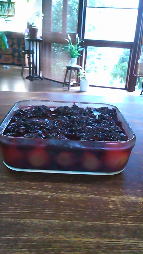 d0224209_1251763.jpg