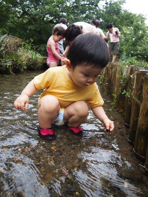 a0151615_1271187.jpg