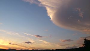 c0062315_22564558.jpg