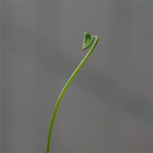 e0168016_14272298.jpg