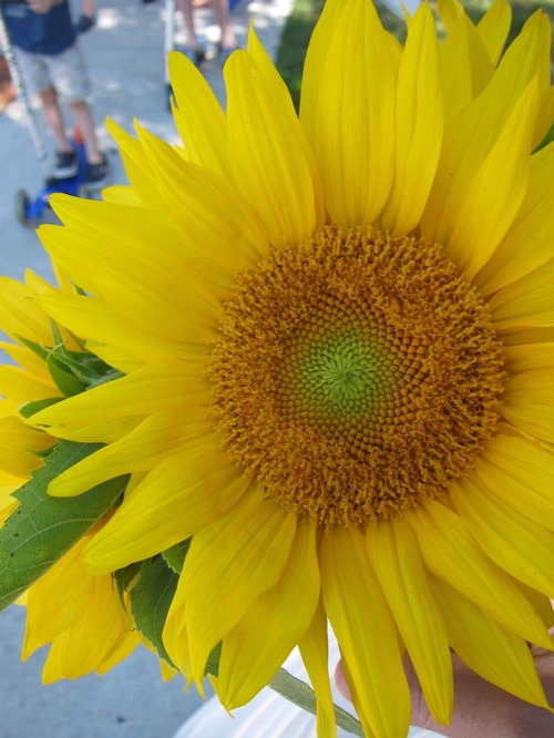 c0120817_04563.jpg