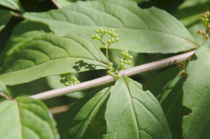 f0217217_17104235.jpg