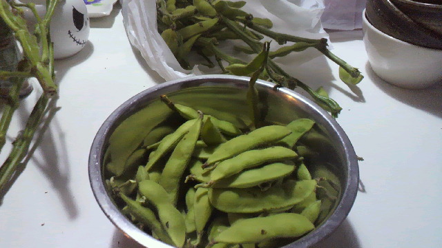 e0208623_23545036.jpg