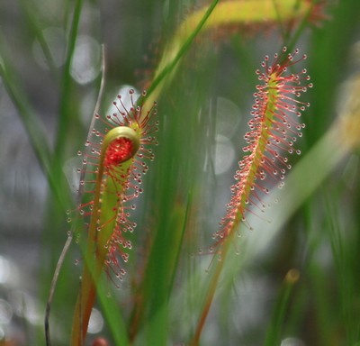 c0104227_1710313.jpg