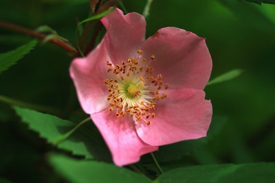 c0104227_17141738.jpg