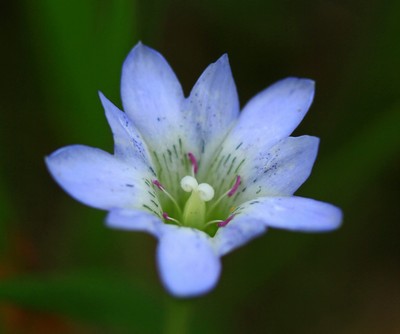 c0104227_17997.jpg