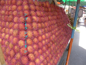 d0042827_104326.jpg