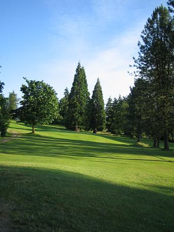 b0221428_6425499.jpg