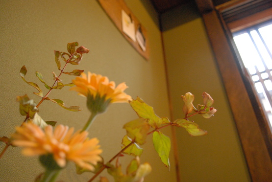 f0238332_16441151.jpg