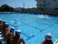 e0069234_1512222.jpg