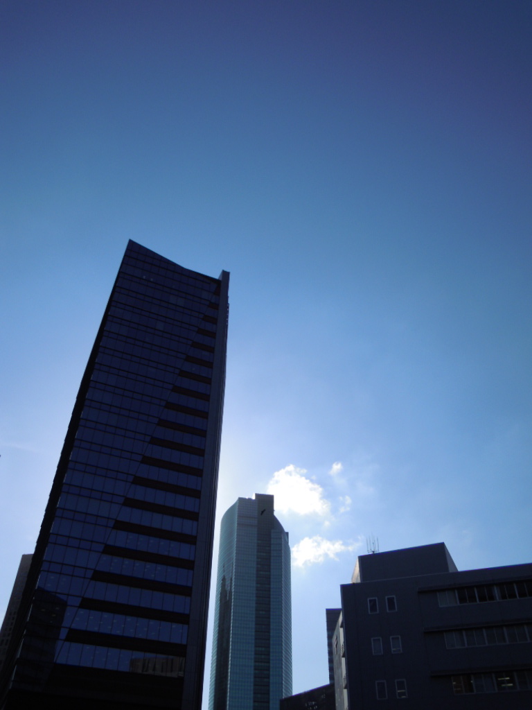 e0081334_144415.jpg