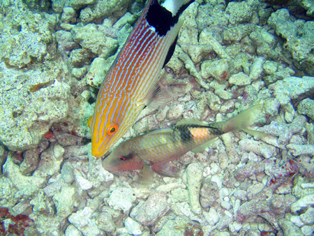f0014842_21563824.jpg