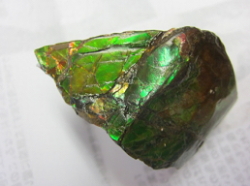 c0223443_14414442.jpg