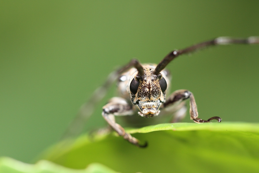 a0094850_18525270.jpg
