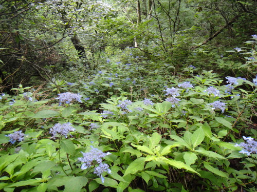 c0179351_20331115.jpg