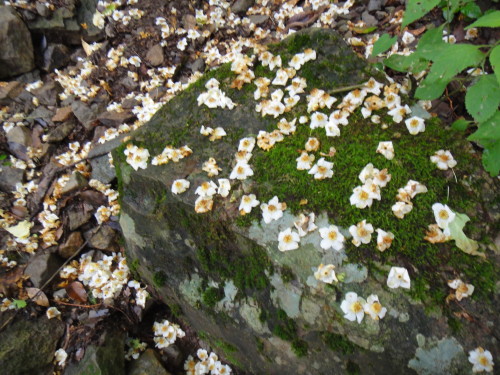 c0179351_20341399.jpg