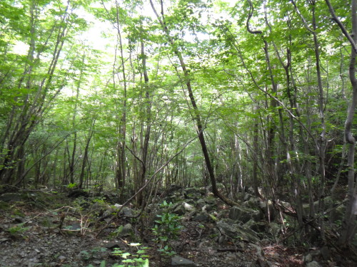 c0179351_20365377.jpg