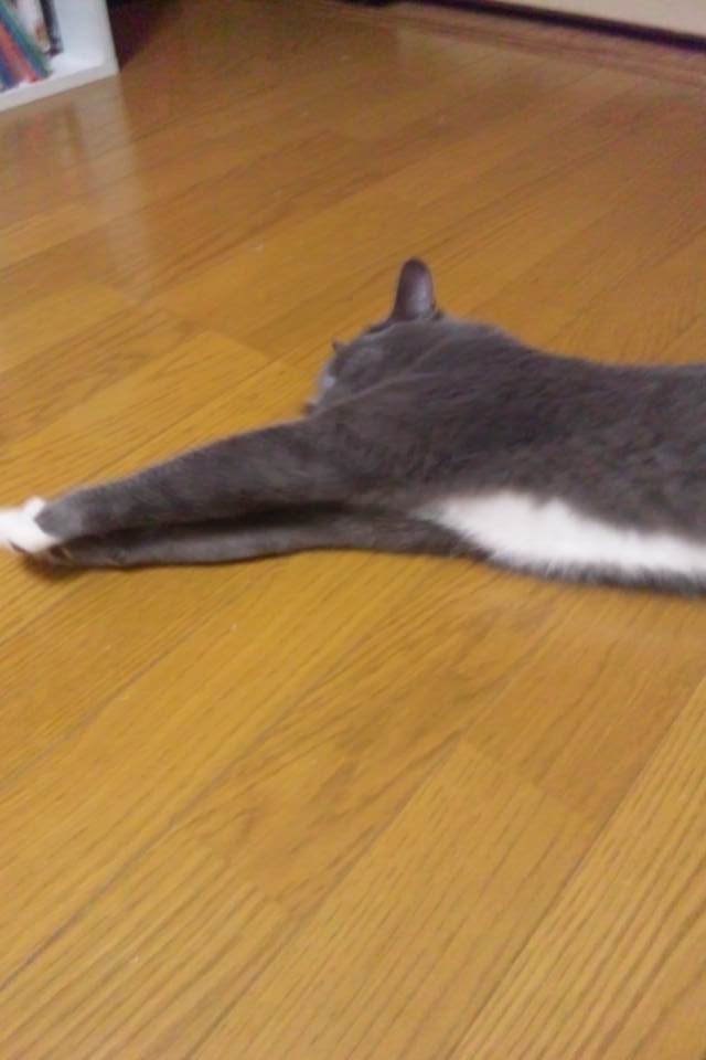c0208352_11394147.jpg