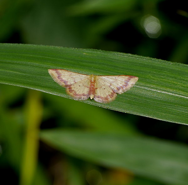 d0091754_0164988.jpg
