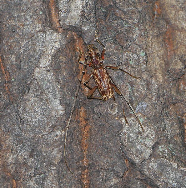 d0091754_334020.jpg