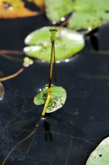 f0222161_2210256.jpg