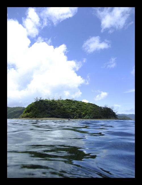 b0062363_17423779.jpg