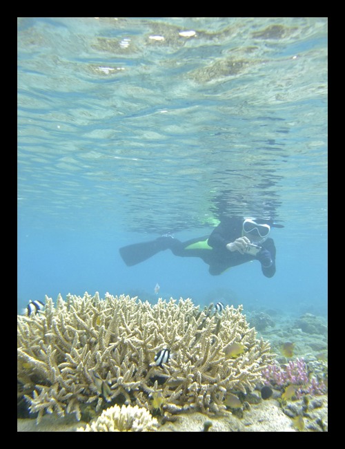 b0062363_17434154.jpg