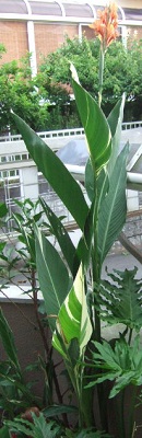 e0225164_755166.jpg
