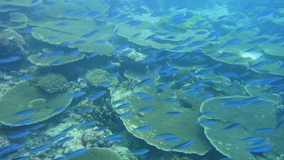 d0041074_10311524.jpg
